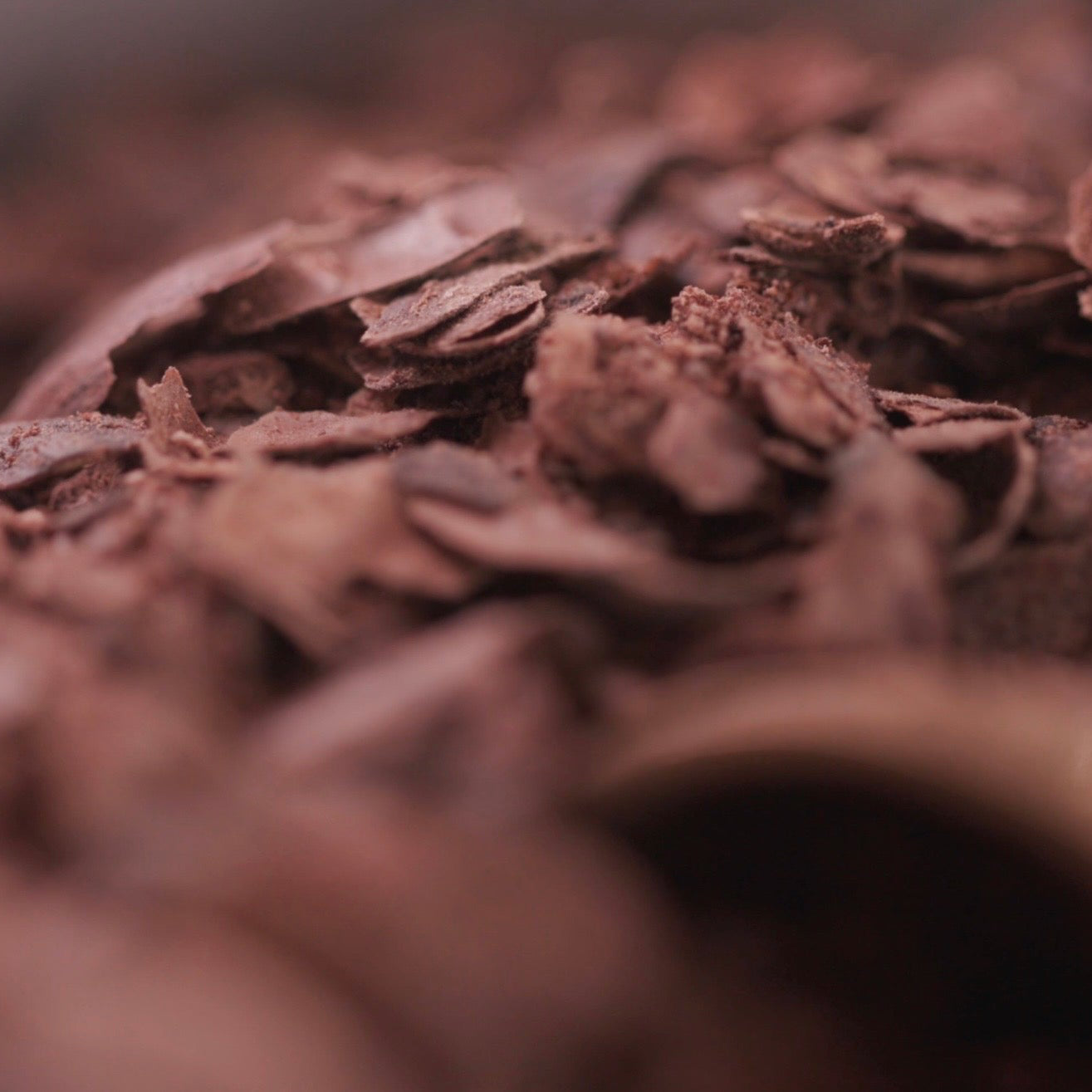 Cacao Husk thee - 100 gram